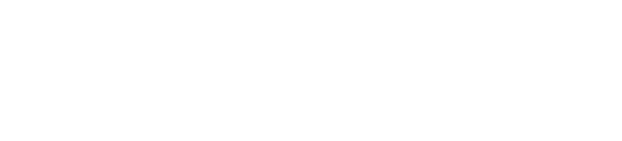 Logo Flossbach von Storch Stiftung